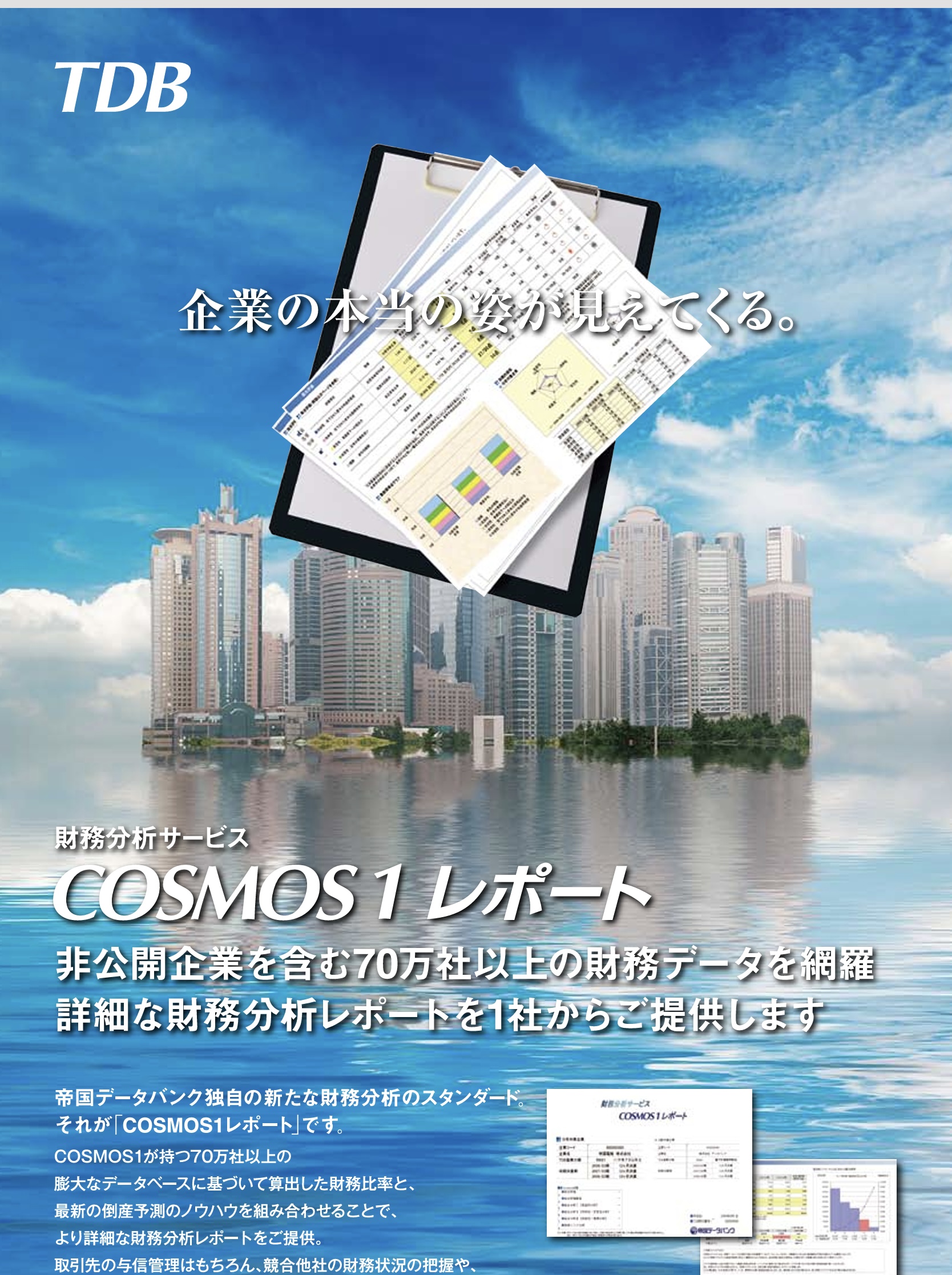 DataBank Series 会社財務カルテ DataBank Series 会社財務カルテ