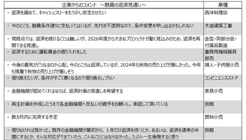図表６　企業からのコメント～融資の返済見通し～