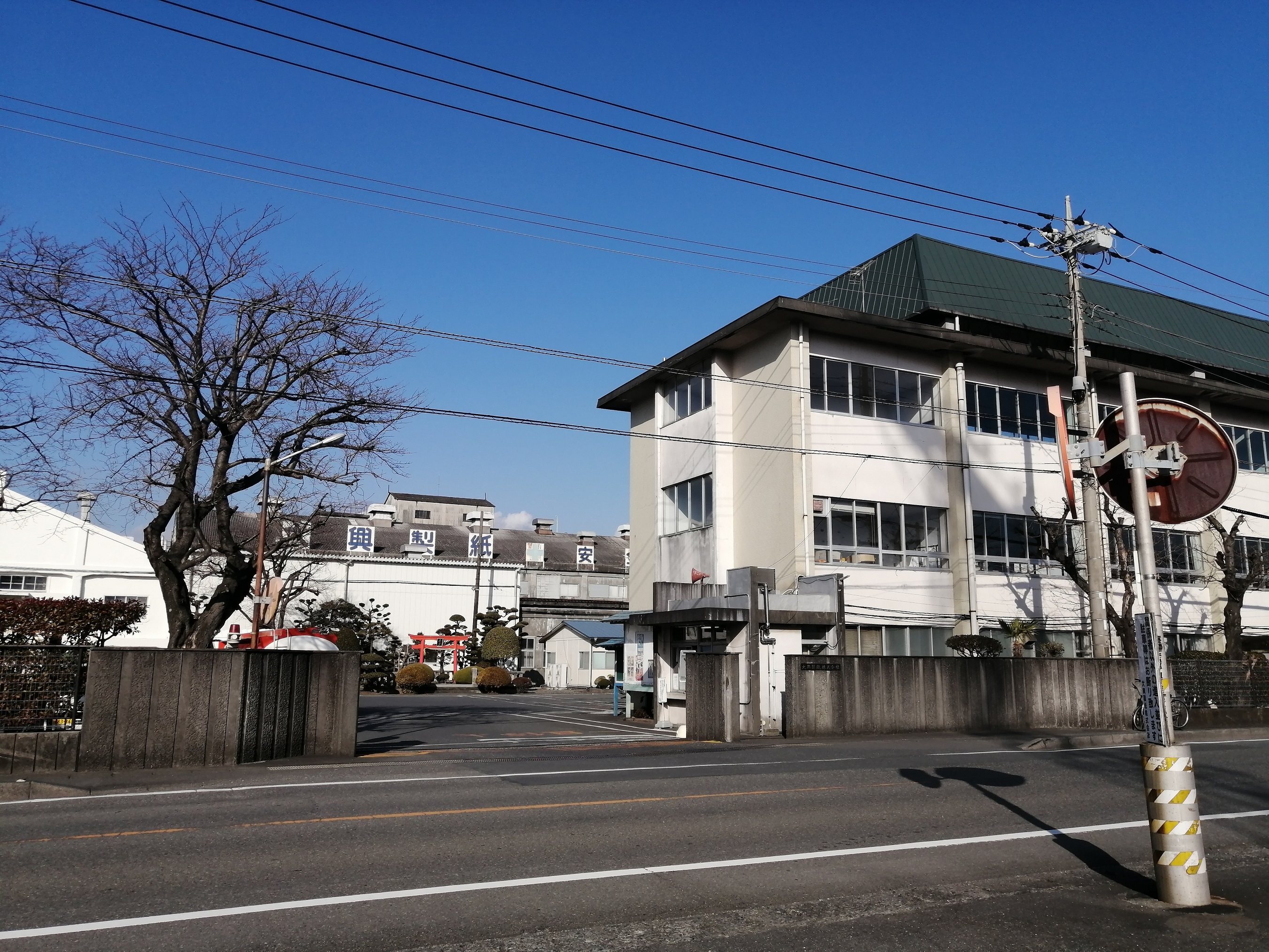 倒産速報 株式会社 帝国データバンク Tdb